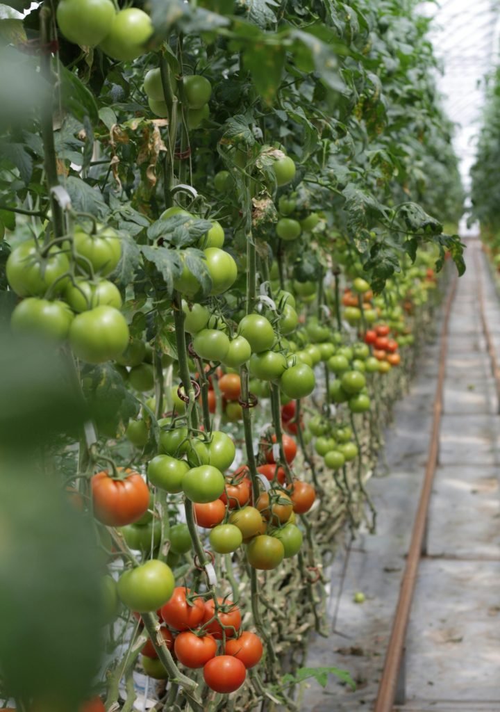 Home pexels fer martinez gonzalez 772917 8180574